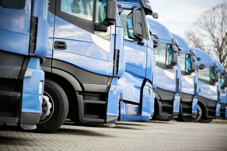 How to Find a Transport Manager