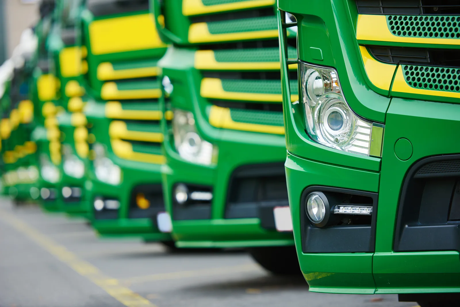 Transport Manager Services